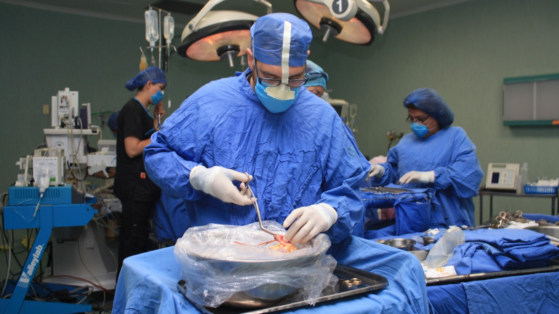 Pandemia frenó ritmo de trasplantes de órganos en México Pandemia frenó ritmo de trasplantes de órganos en México