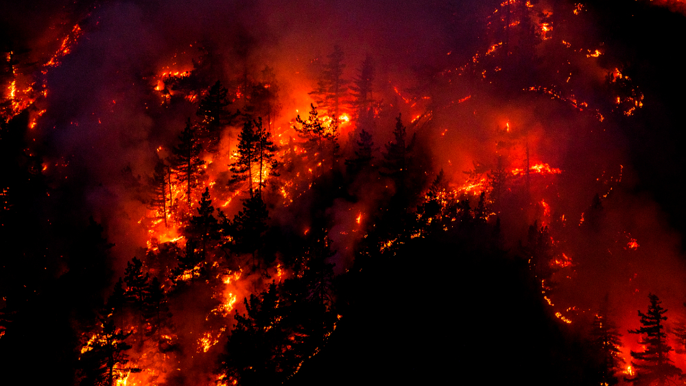 Trump visitará California el lunes para informarse sobre los incendios Trump visitará California el lunes para informarse sobre los incendios