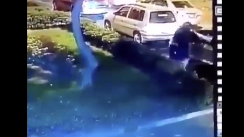#Video Sujeto intenta asaltar a automovilista en el tráfico, termina abatido