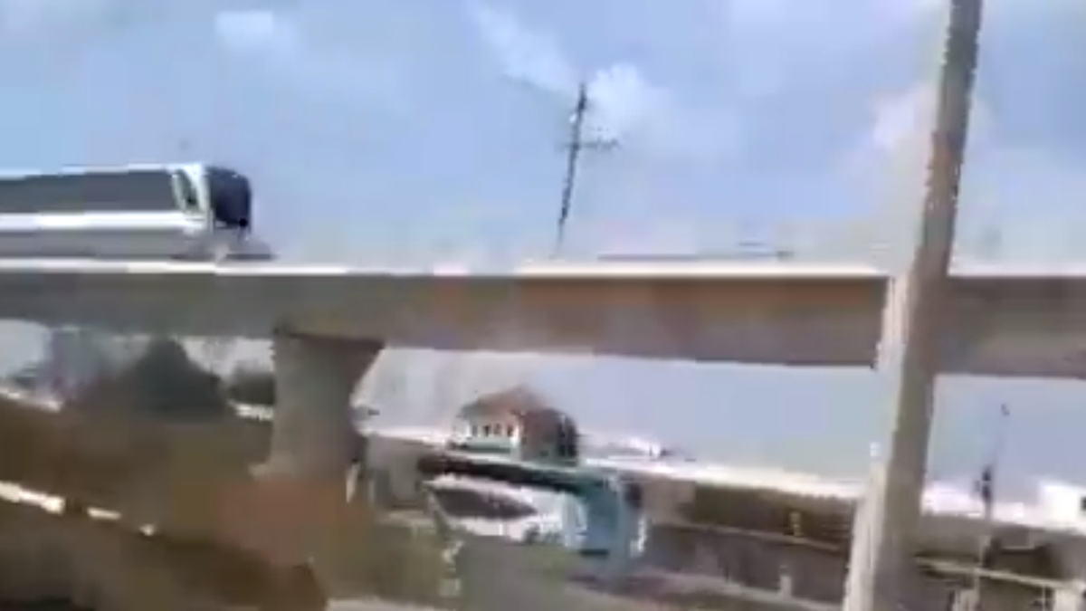 #Video Perro invade vías del Tren Ligero de Guadalajara