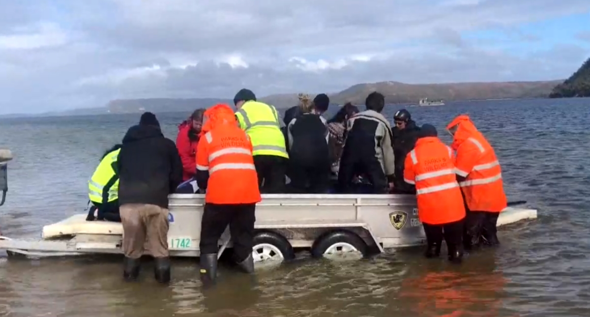 Mueren 380 ballenas varadas en Australia y otras 70 son rescatadas Mueren 380 ballenas varadas en Australia y otras 70 son rescatadas