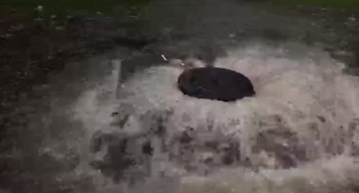 No para el acecho de Beta en el este de Texas