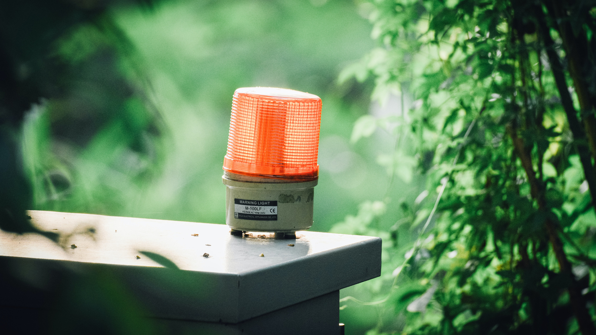 Las tecnologías que revolucionaron la atención de desastres naturales en México