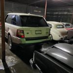 Aseguran en Matamoros, Tamaulipas, 46 autos de lujo, dos tigres y aves exóticas - matamoros-tamaulipas-gopes-aseguramiento-vehiculos-aves-tigres-11-150x150