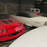 Aseguran en Matamoros, Tamaulipas, 46 autos de lujo, dos tigres y aves exóticas - matamoros-tamaulipas-gopes-aseguramiento-vehiculos-aves-tigres-14-150x150