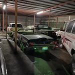 Aseguran en Matamoros, Tamaulipas, 46 autos de lujo, dos tigres y aves exóticas - matamoros-tamaulipas-gopes-aseguramiento-vehiculos-aves-tigres-15-150x150