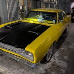 Aseguran en Matamoros, Tamaulipas, 46 autos de lujo, dos tigres y aves exóticas - matamoros-tamaulipas-gopes-aseguramiento-vehiculos-aves-tigres-19-150x150