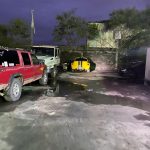 Aseguran en Matamoros, Tamaulipas, 46 autos de lujo, dos tigres y aves exóticas - matamoros-tamaulipas-gopes-aseguramiento-vehiculos-aves-tigres-21-150x150