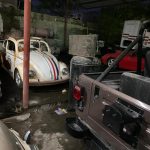 Aseguran en Matamoros, Tamaulipas, 46 autos de lujo, dos tigres y aves exóticas - matamoros-tamaulipas-gopes-aseguramiento-vehiculos-aves-tigres-3-150x150