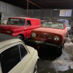 Aseguran en Matamoros, Tamaulipas, 46 autos de lujo, dos tigres y aves exóticas - matamoros-tamaulipas-gopes-aseguramiento-vehiculos-aves-tigres-4-150x150