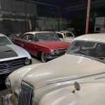 Aseguran en Matamoros, Tamaulipas, 46 autos de lujo, dos tigres y aves exóticas - matamoros-tamaulipas-gopes-aseguramiento-vehiculos-aves-tigres-9-150x150