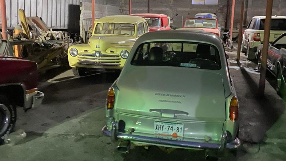 Aseguran en Matamoros, Tamaulipas, 46 autos de lujo, dos tigres y aves exóticas