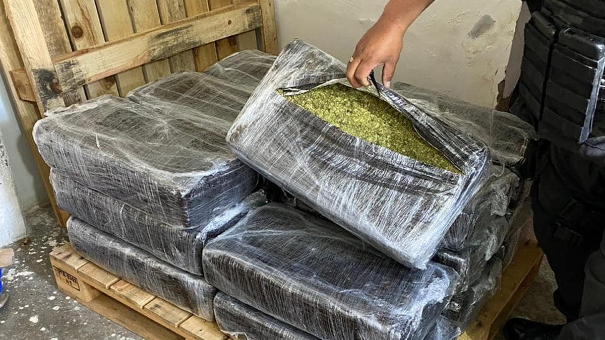 Decomisan en Edomex 580 kilos de mariguana
