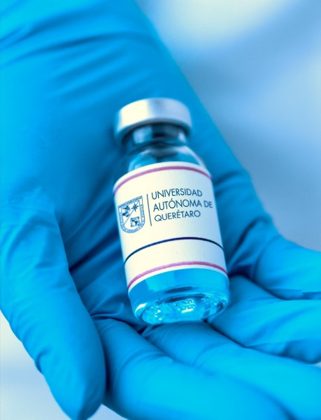 Autónoma de Querétaro iniciará pruebas en animales de su vacuna contra COVID-19 - proyecto-de-vacuna-contra-covid-19-de-la-uaq