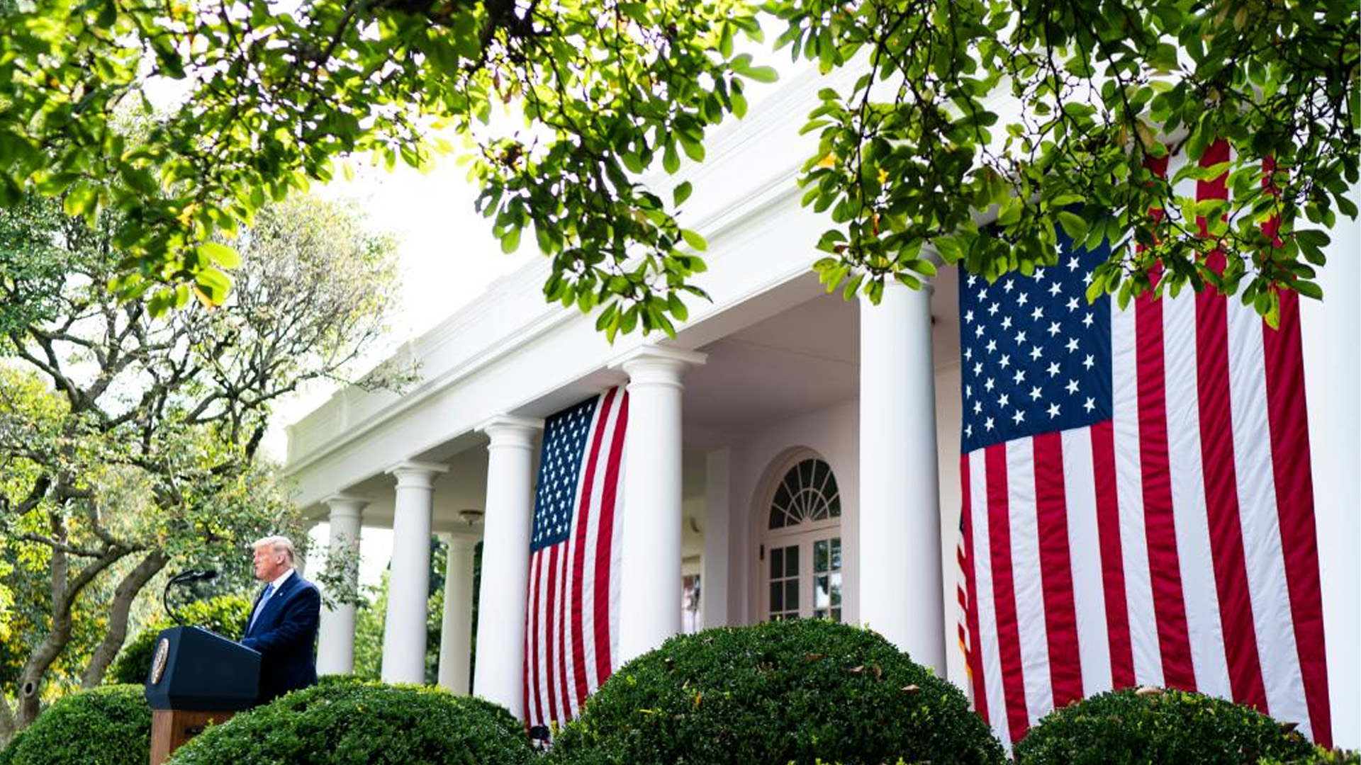 “No sé quiénes son”: desconoce Donald Trump al grupo supremacista blanco ‘Proud Boys’ “No sé quiénes son”: desconoce Donald Trump al grupo supremacista blanco ‘Proud Boys’