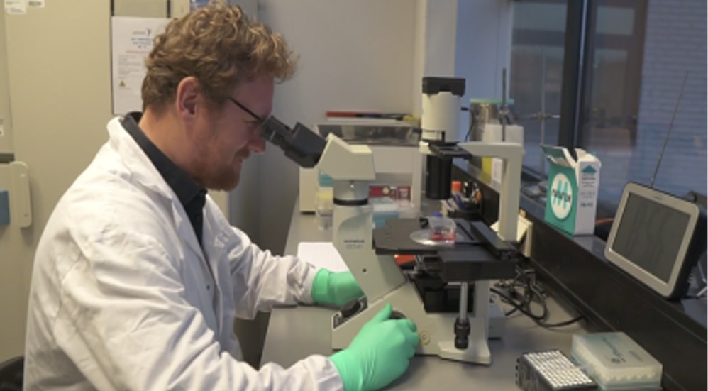 Vacuna de Johnson & Johnson produce fuerte respuesta inmune contra COVID-19 - vacunajj