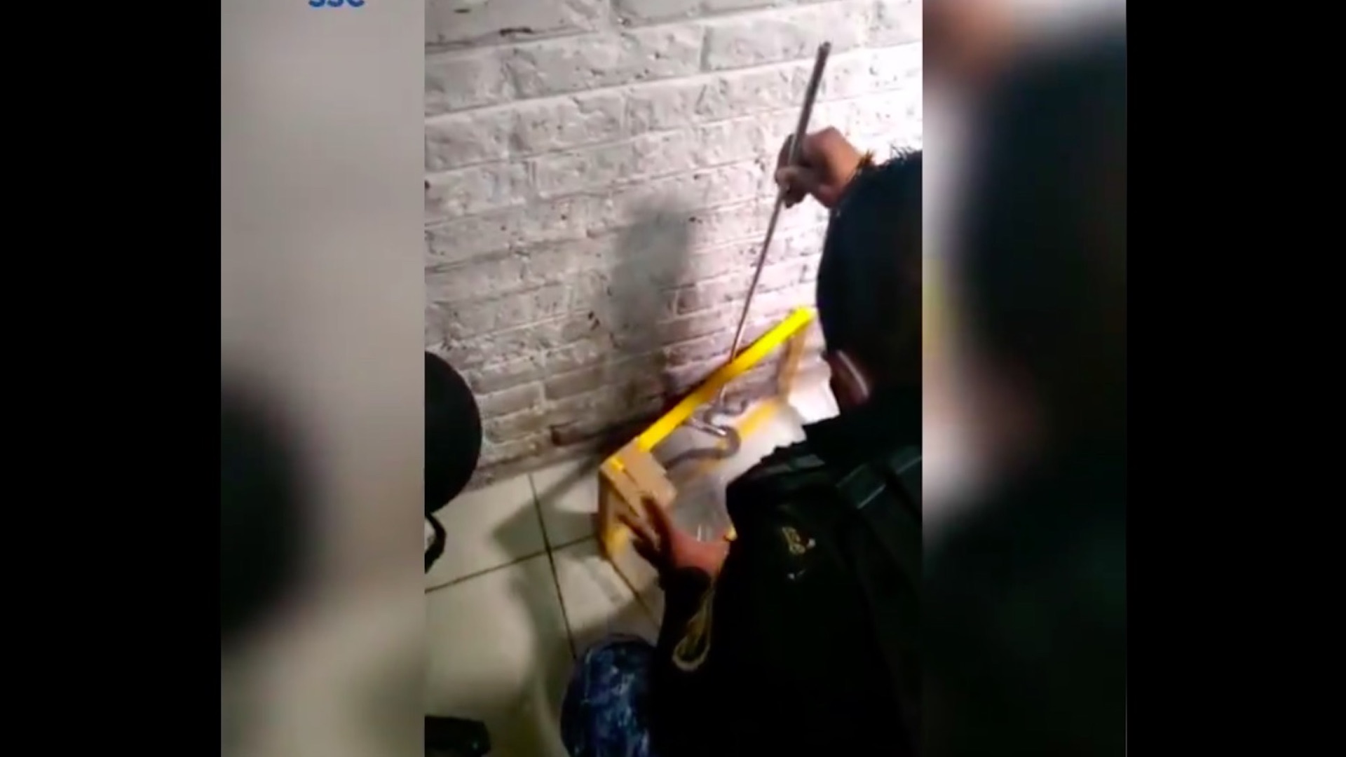 #Video Víbora de cascabel muerde a paciente del hospital de Tláhuac