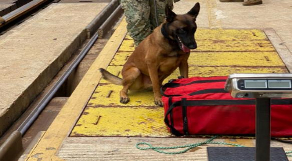 Decomisa SAT en Lázaro Cárdenas 37 kilos de cocaína procedente de Colombia