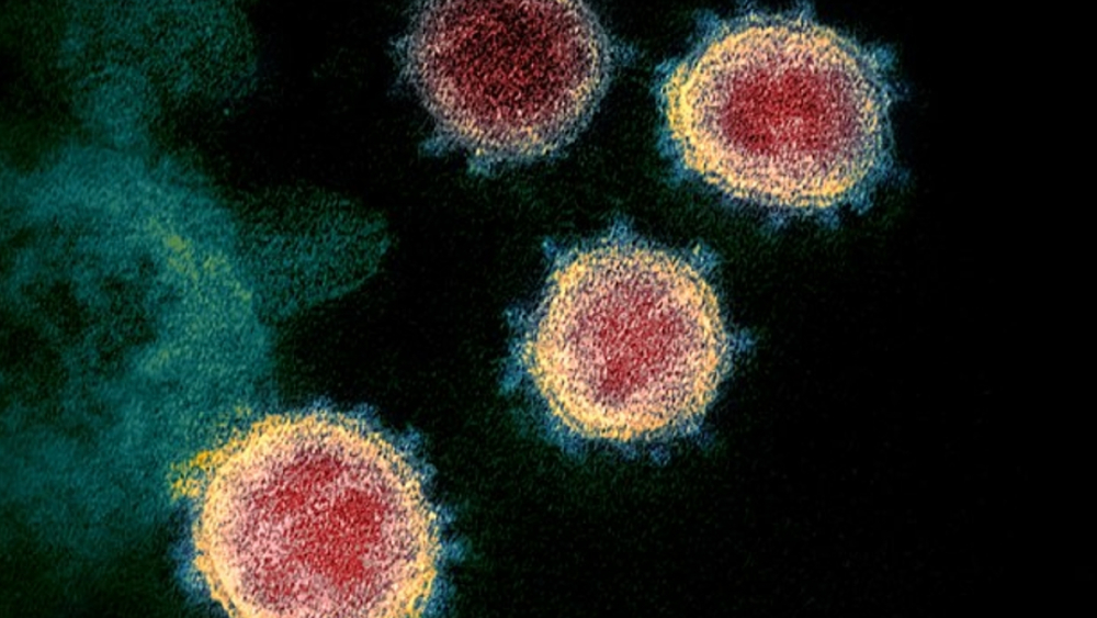 Aerosoles son portadores poco eficientes del SARS-Cov-2, afirma estudio