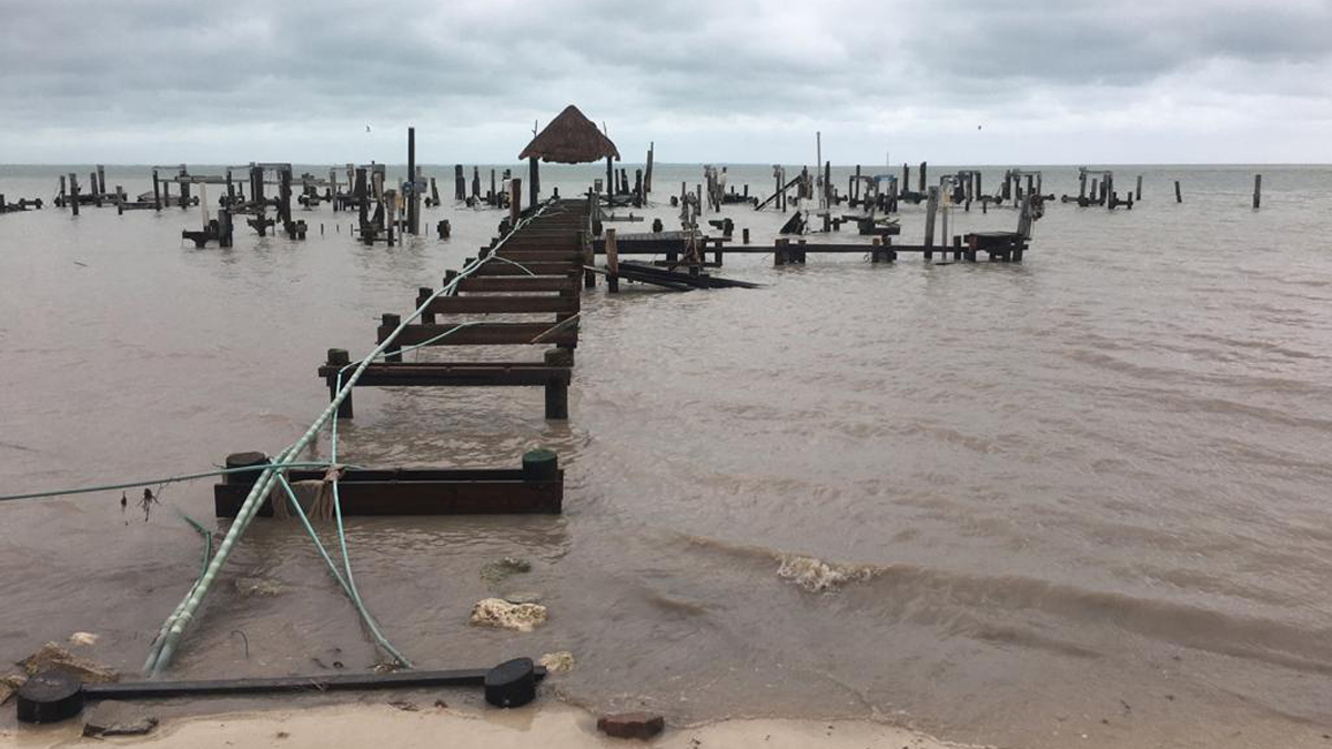 Los daños del Huracán Delta en Cancún: cortes de luz y árboles caídos - afectaciones-del-huracan-delta-en-el-caribe-mexicano