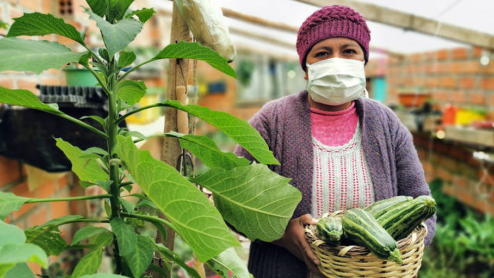 COVID-19 eleva la inseguridad alimentaria a niveles de hace décadas