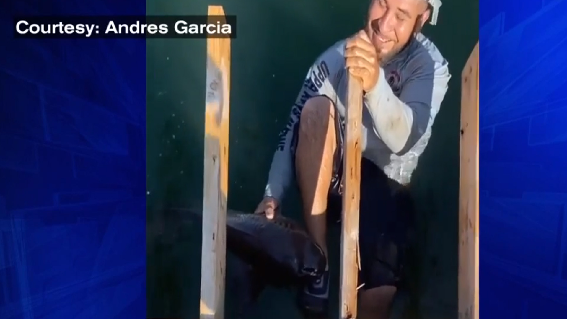 Tiburón nodriza prensa a hombre en Florida por 15 minutos