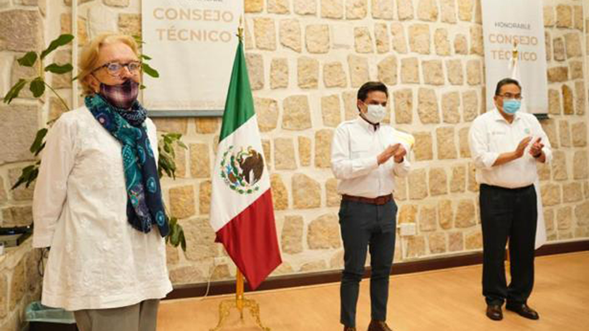 Nombra IMSS a Asa Ebba Christina Laurell como directora de Planeación Estratégica - asa-ebba-christina-laurell