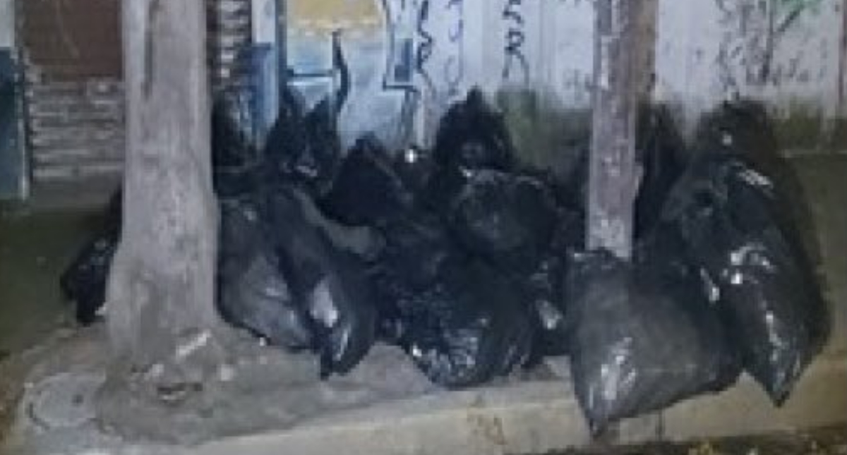 Medicamentos hallados en Azcapotzalco corresponden con lotes robados en Iztapalapa, confirma Fiscalía