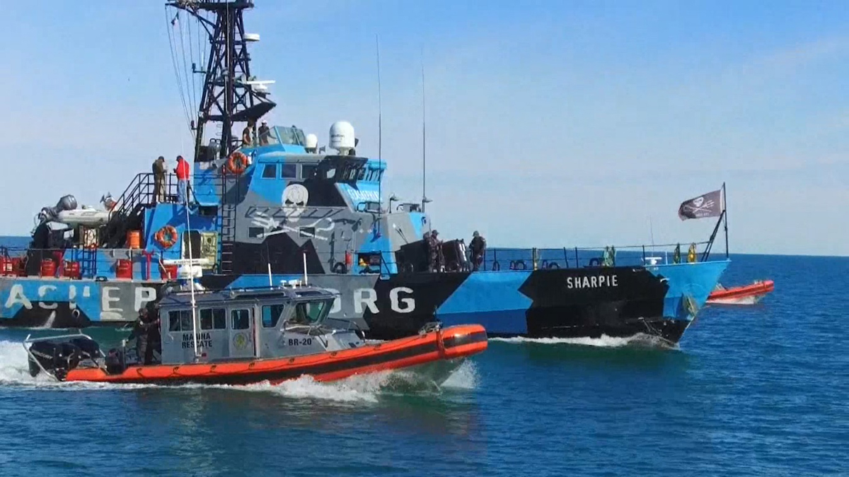 Población de vaquita marina se reduce a tan solo 10 ejemplares - barco-sharpie-de-sea-shepherd
