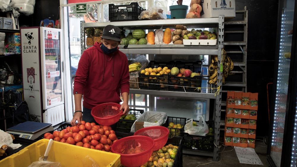 Impulsan prácticas de agricultura sustentable para ayudar a mantener 100 mil empleos indirectos en el campo mexicano - cadena-de-valor-imcc-2