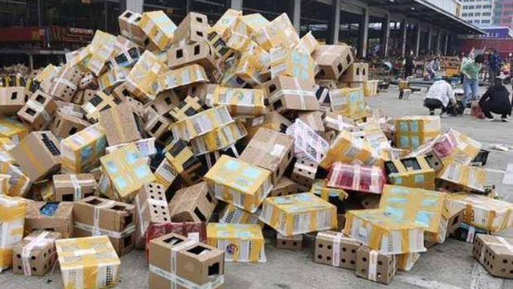 Hallan en China miles de mascotas muertas que serían enviadas por correo - cajas-en-las-que-pretendian-enviarse-miles-de-animales-por-correo