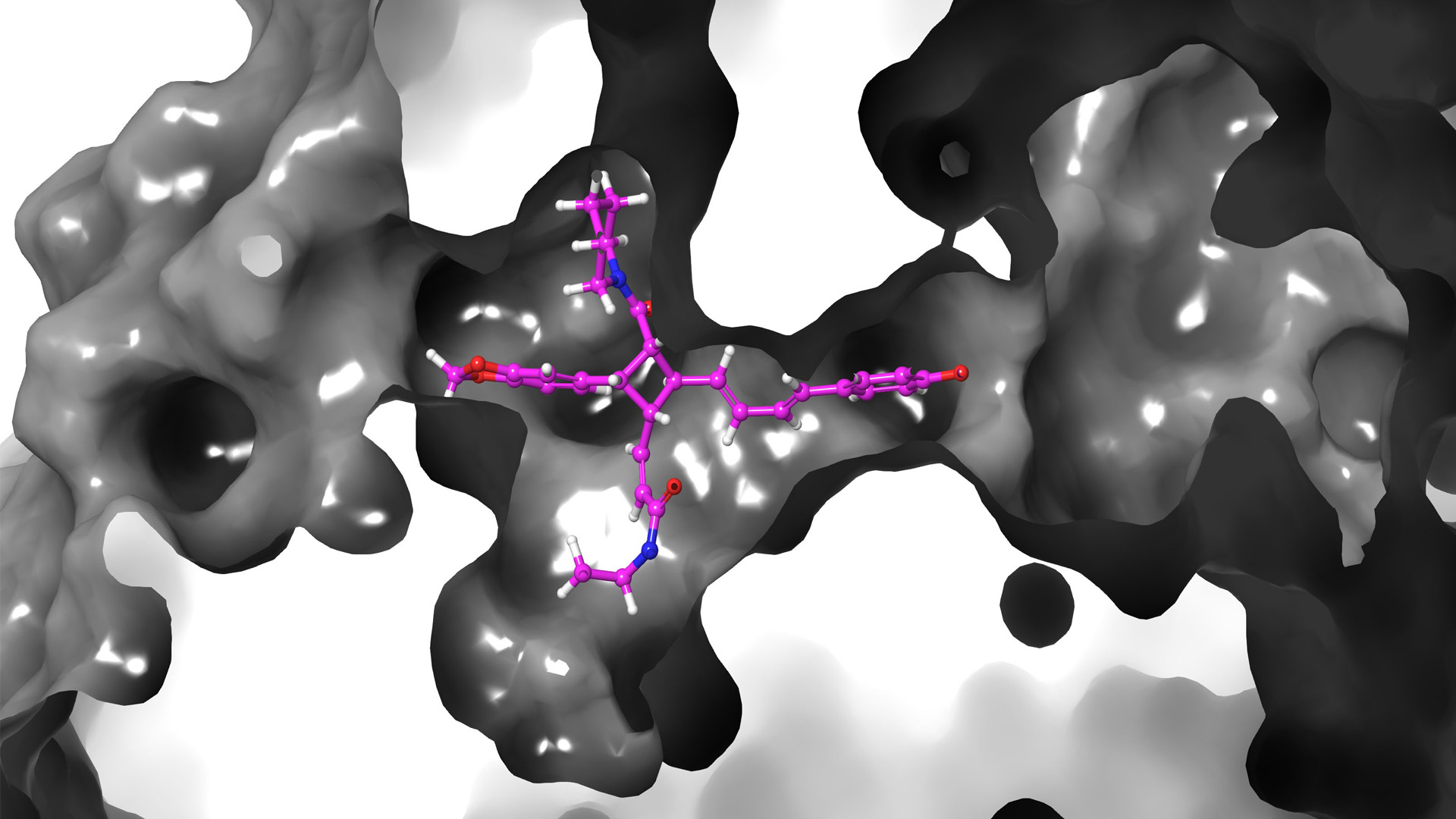 Compuestos derivados de la pimienta negra podrían ayudar contra el COVID-19 - cinvestav