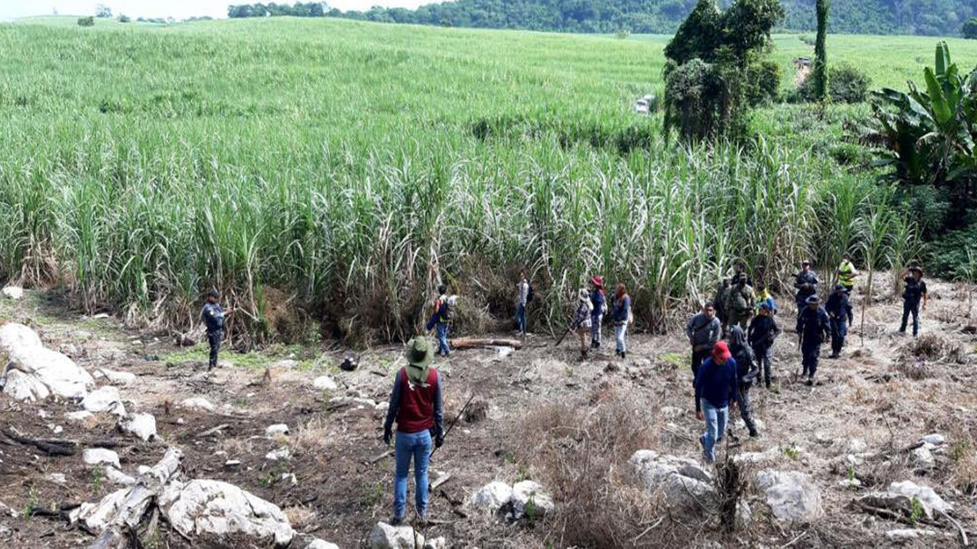 México reconoce Comité contra la Desaparición Forzada de la ONU