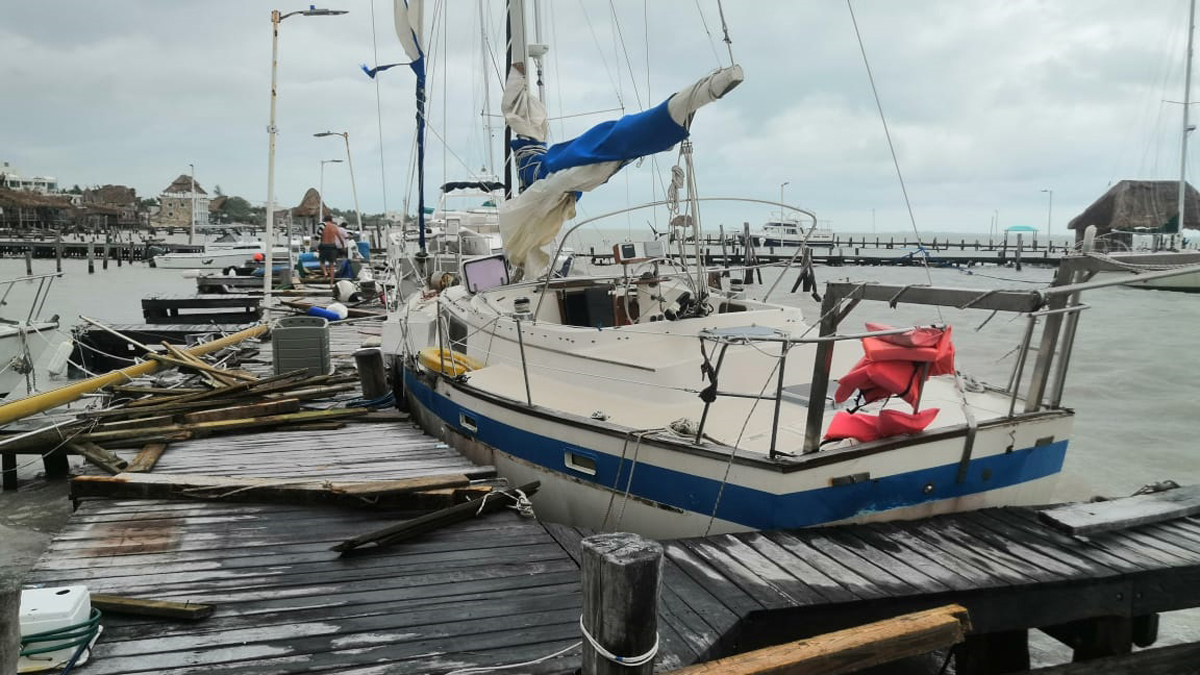 Los daños del Huracán Delta en Cancún: cortes de luz y árboles caídos Los daños del Huracán Delta en Cancún: cortes de luz y árboles caídos