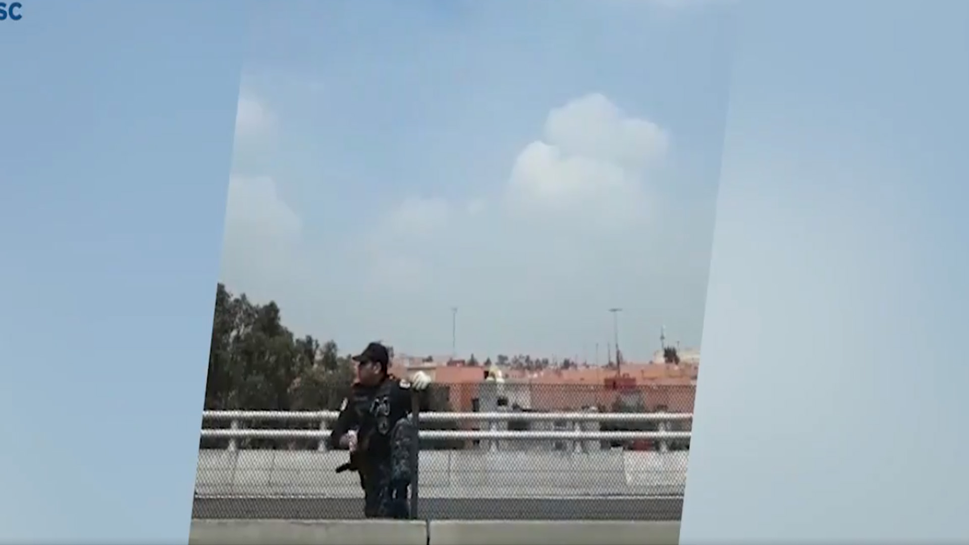 #Video Rescatan en segundo piso del Periférico a gato herido; buscan familia para adopción