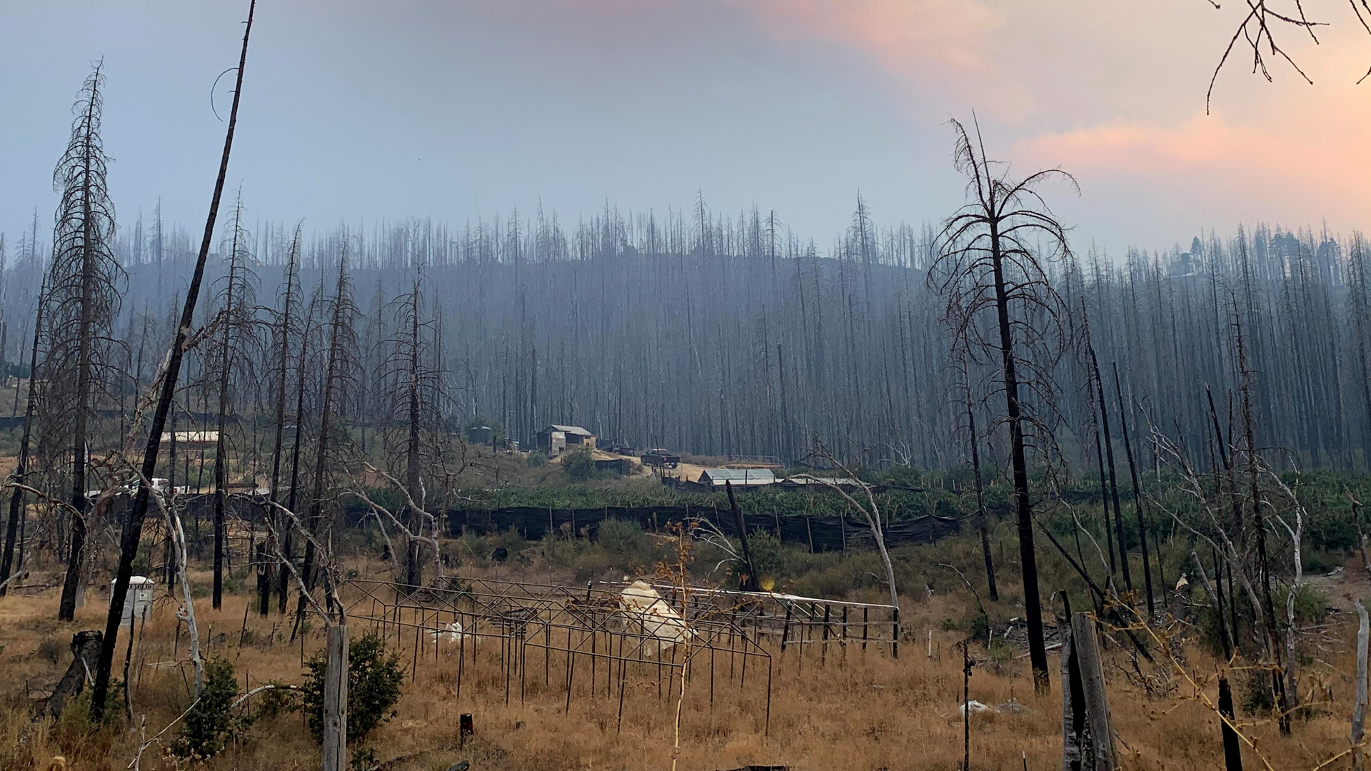 Incendios en California arrasan la cifra récord de 1.62 millones de hectáreas - incendio-august-complex