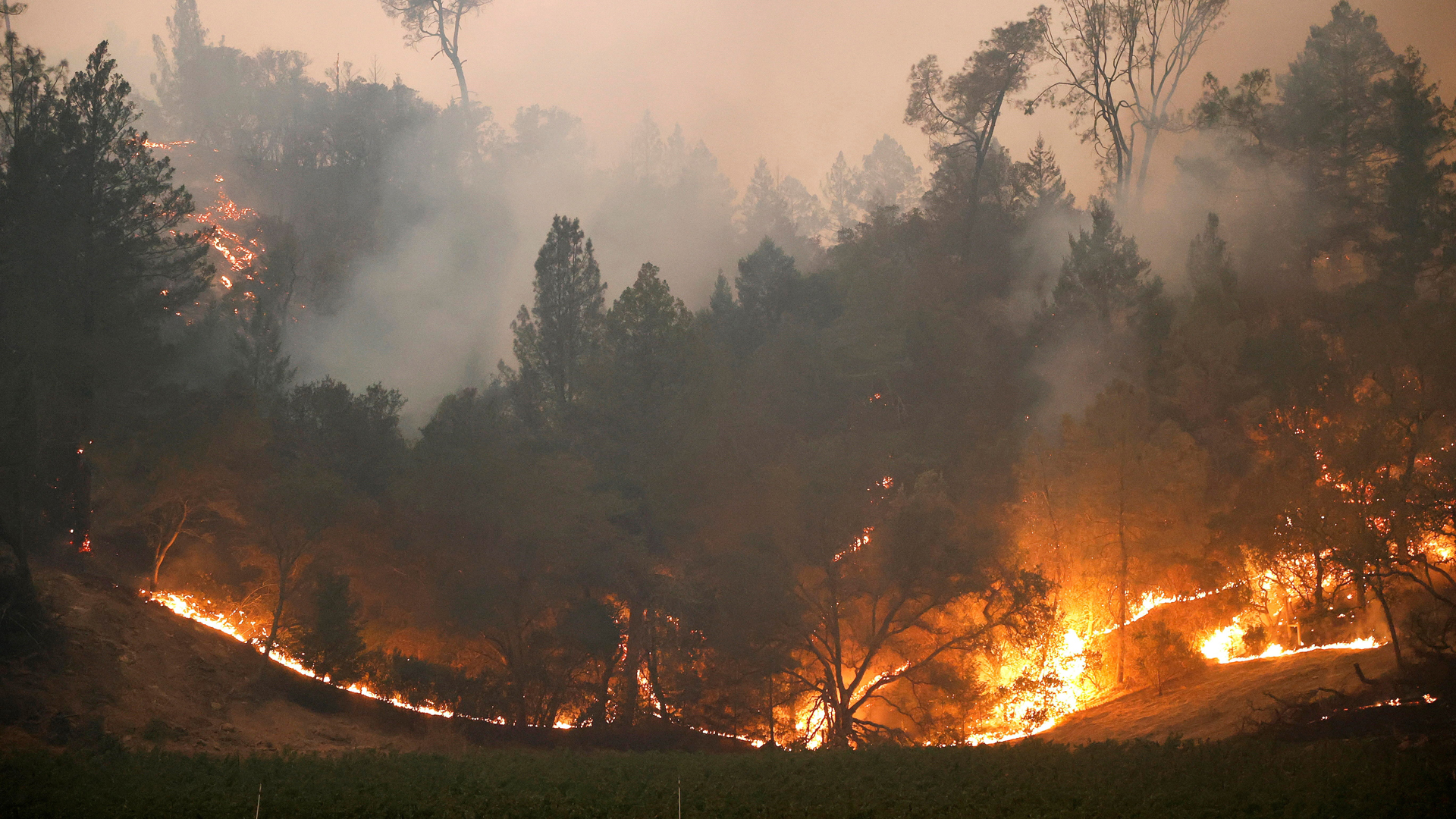 Incendios en California arrasan la cifra récord de 1.62 millones de hectáreas Incendios en California arrasan la cifra récord de 1.62 millones de hectáreas