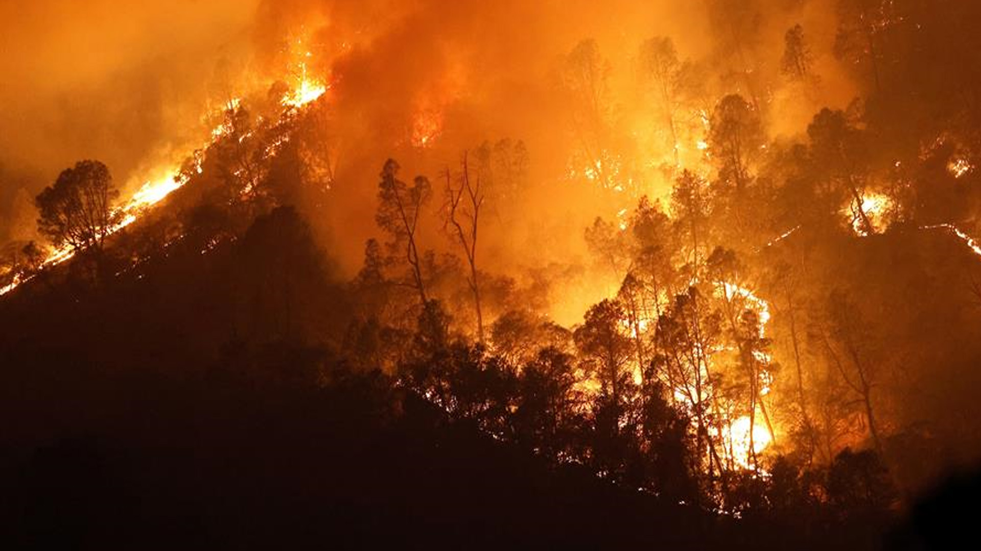 Ola de calor mantiene “vivos” a dos de 20 incendios que arden en California Ola de calor mantiene “vivos” a dos de 20 incendios que arden en California