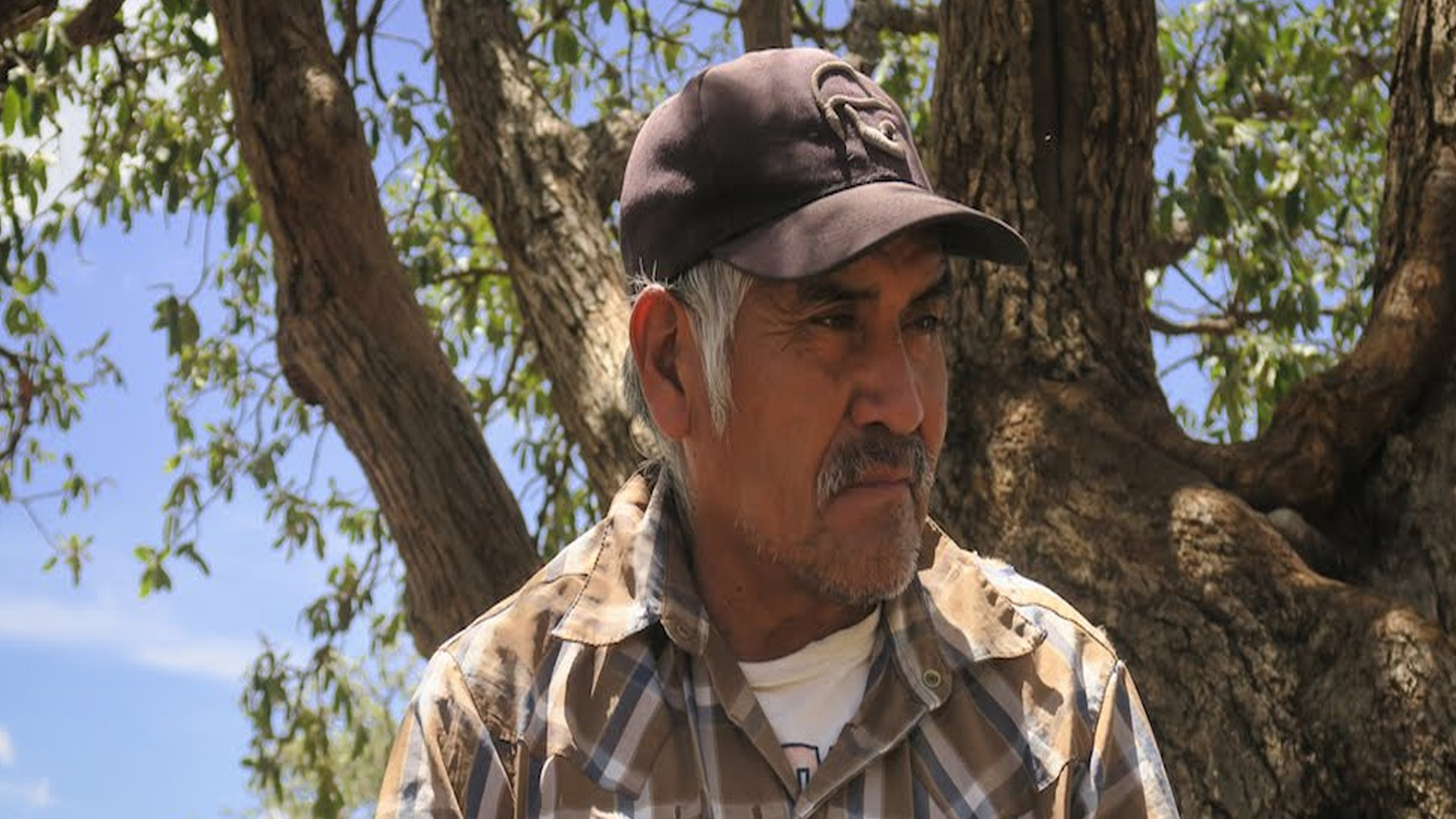 Amnistía Internacional critica eliminación de Fideicomisos para protección de activistas