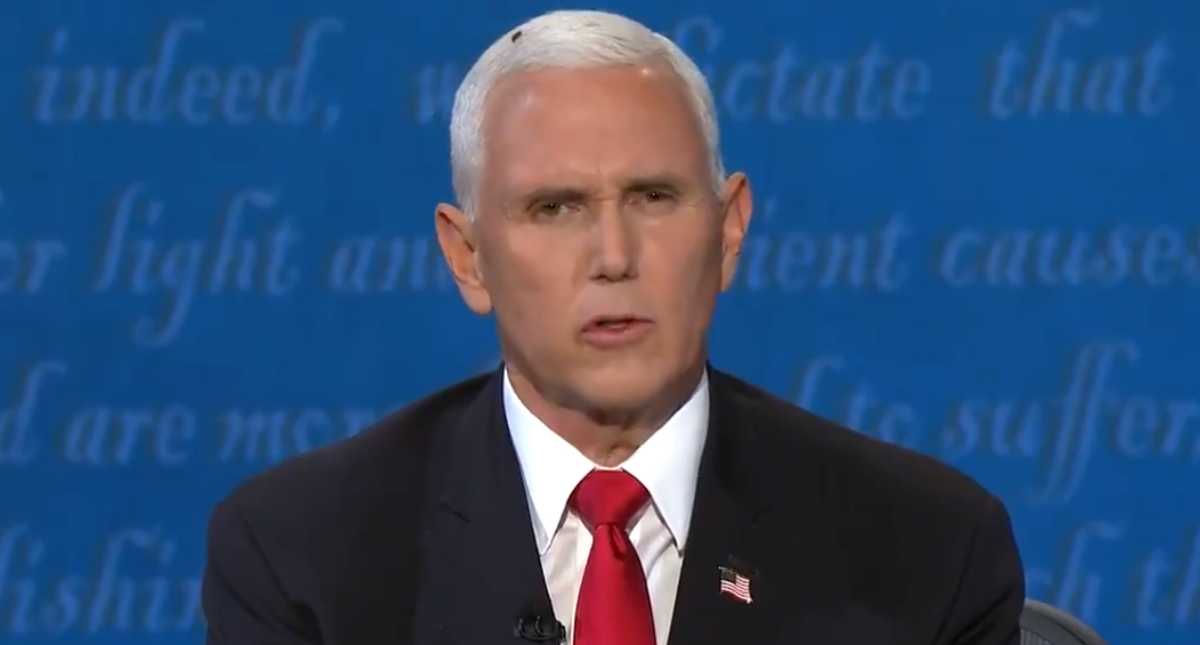 #Viral Mosca se roba el protagonismo en el debate vicepresidencial