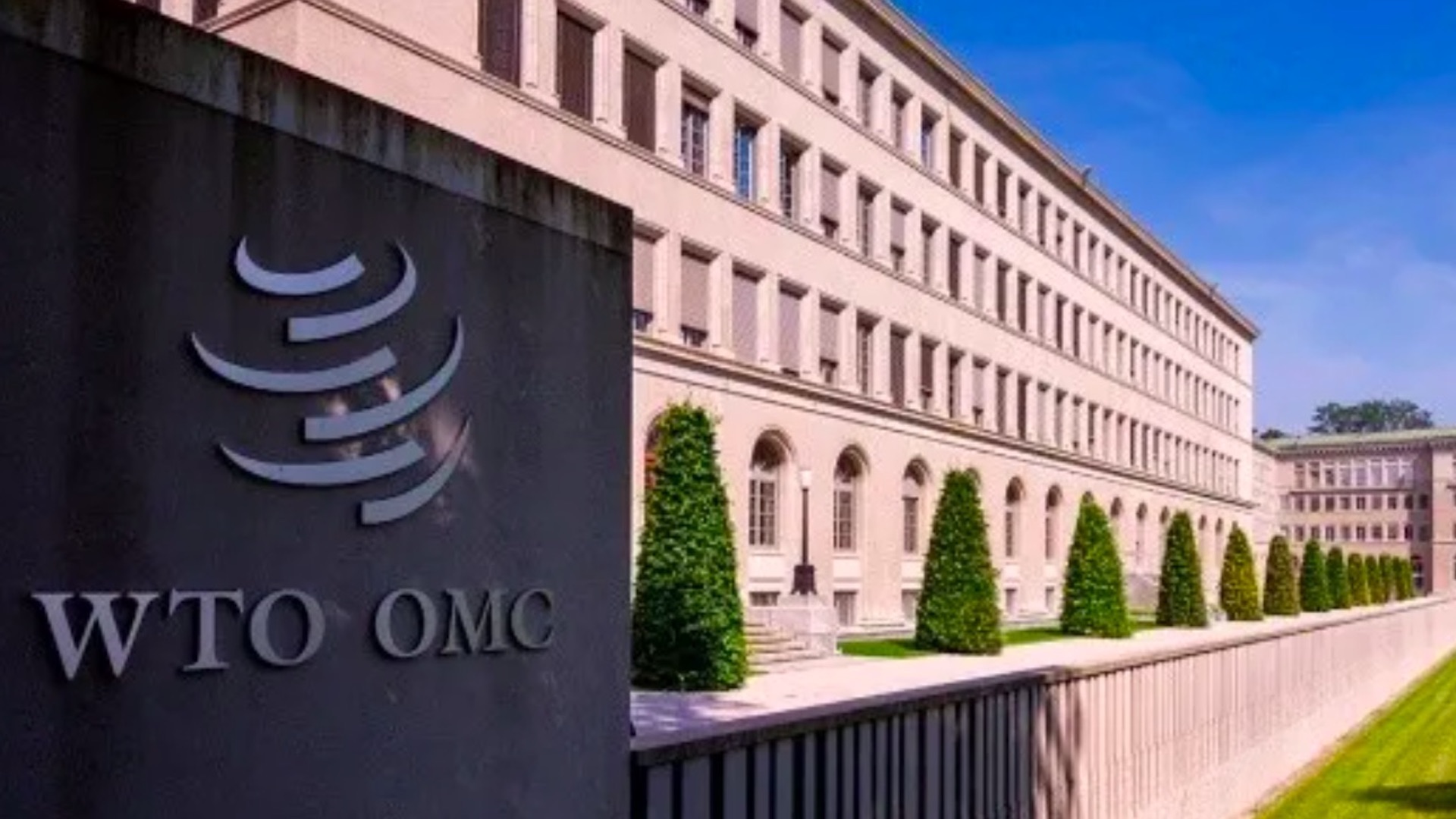 Avanzan dos mujeres a la ronda final para dirigir la OMC