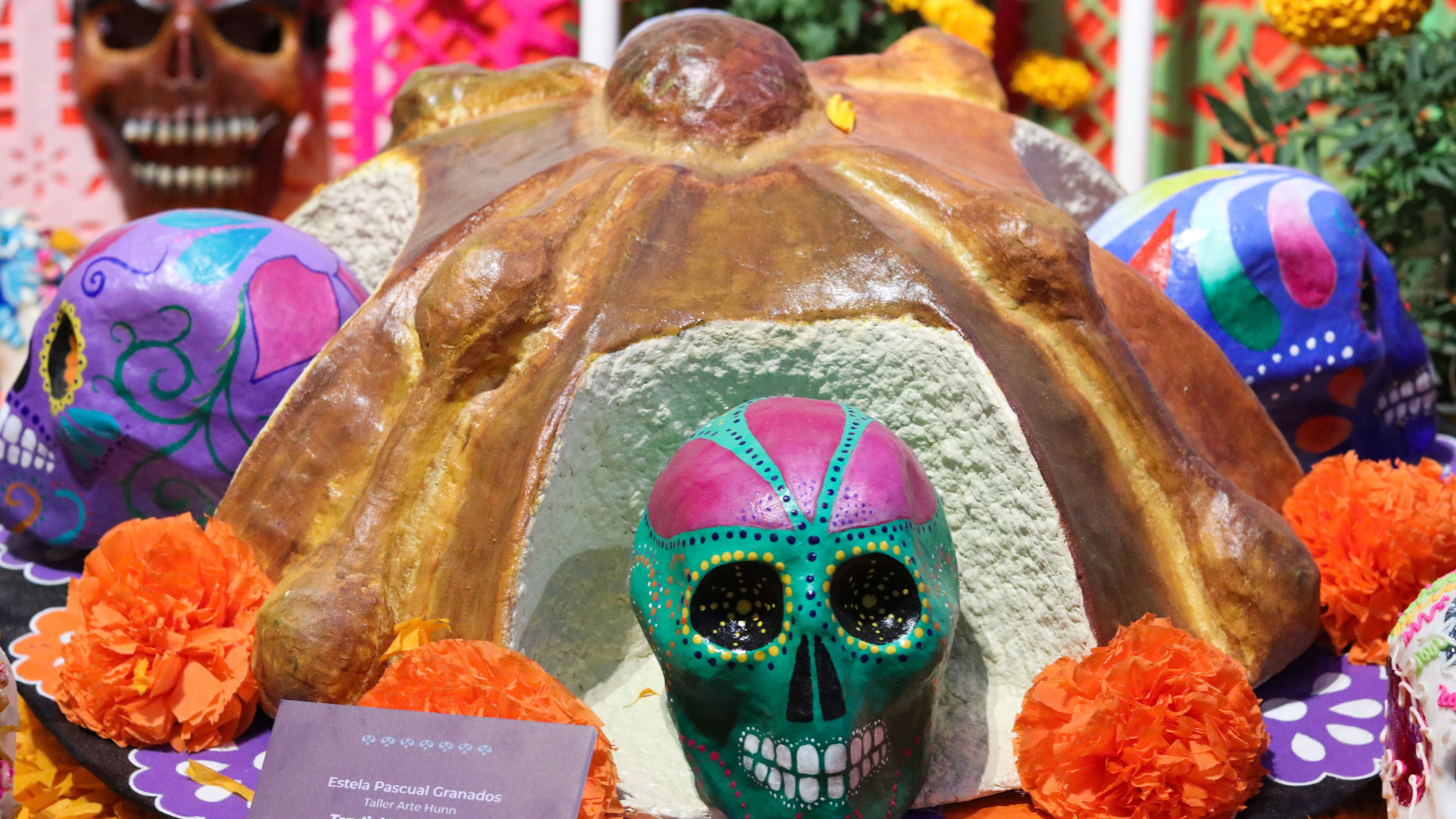 Pide López-Gatell no acudir a panteones; “no contribuyamos a que más personas pierdan la vida”, enfatiza