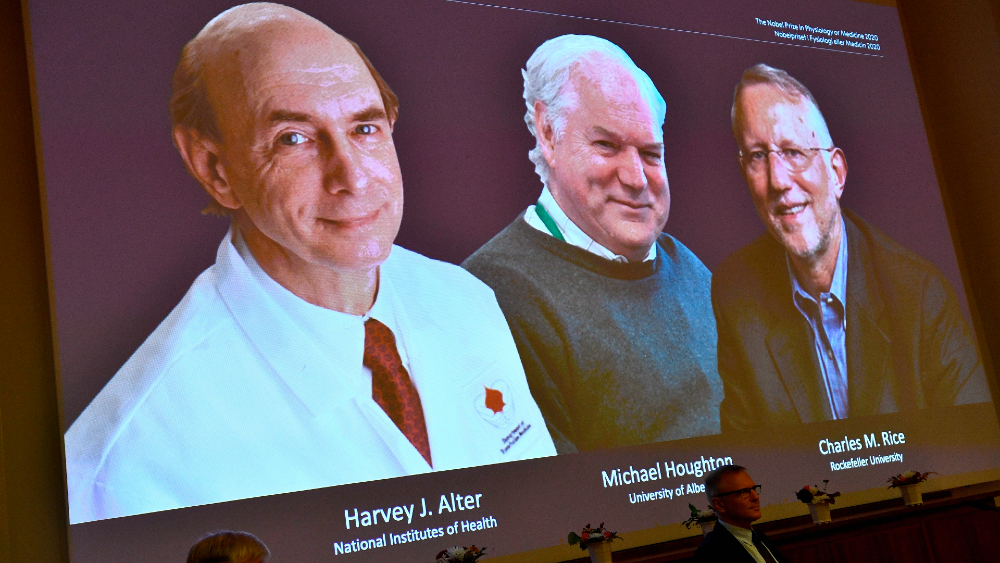 Nobel de Medicina a tres virólogos por descubrir el virus de la hepatitis C
