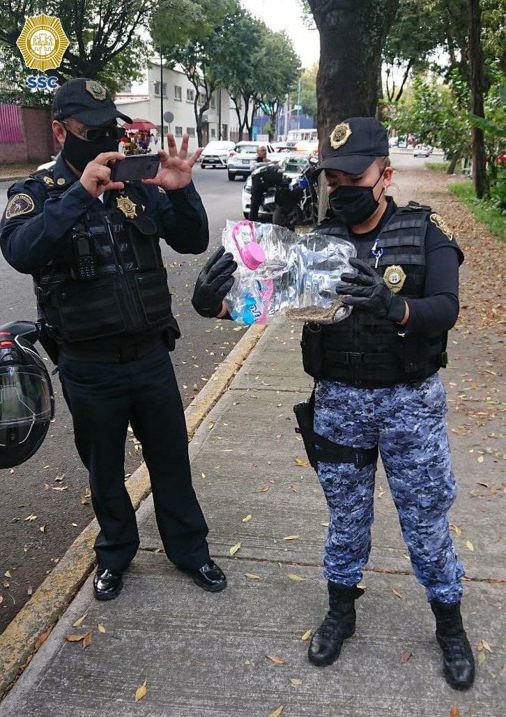 Aumenta avistamiento de víboras en casas de CDMX; SSC emite recomendaciones - resguardo-de-vibora-en-cdmx