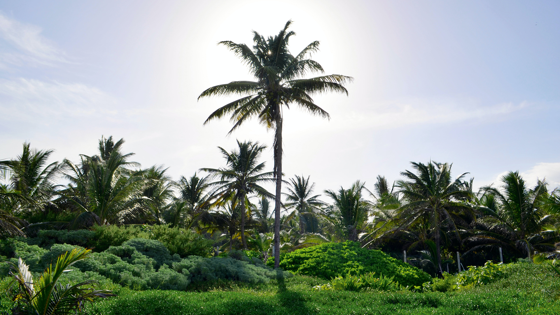 Aeropuerto de Tulum será construido por el Ejército y será inaugurado en 2023