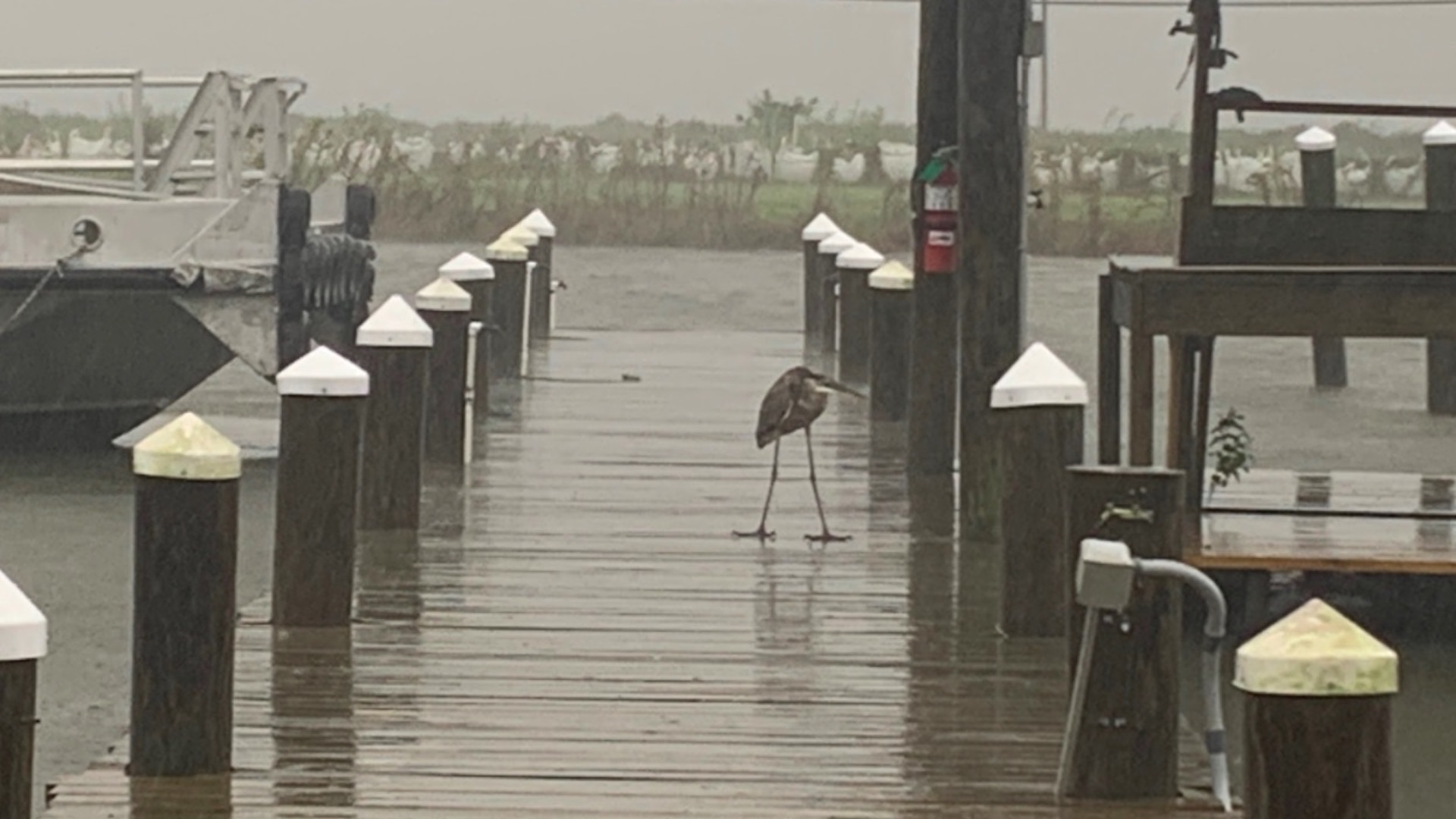 #Video Zeta toca tierra en el sureste de Luisiana como huracán Categoría 2