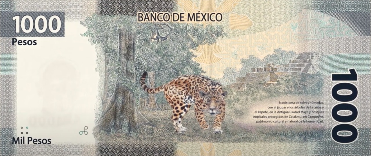 Banxico presenta el nuevo billete de mil pesos - billete-mil-pesos-reverso-2020
