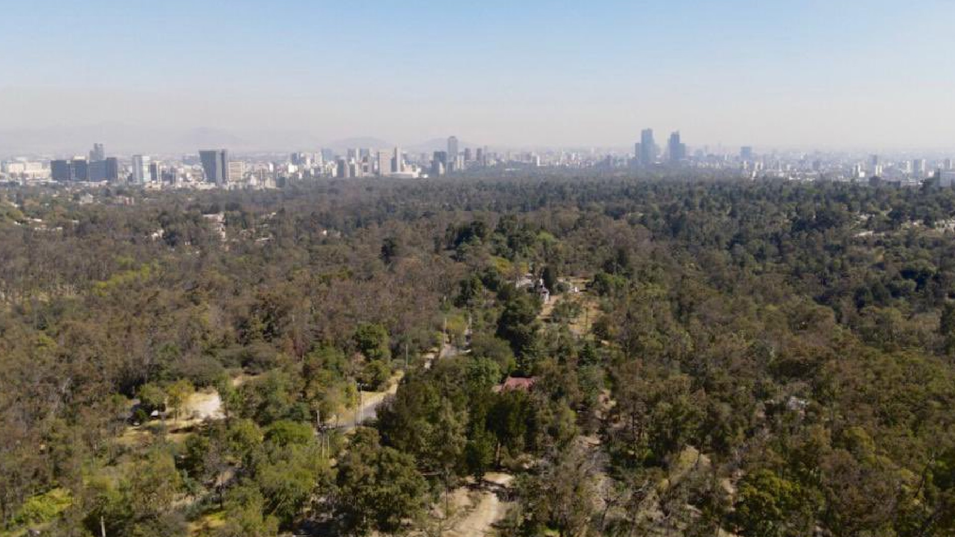 Niega Claudia Sheinbaum que se vaya a privatizar el Bosque de Chapultepec Niega Claudia Sheinbaum que se vaya a privatizar el Bosque de Chapultepec