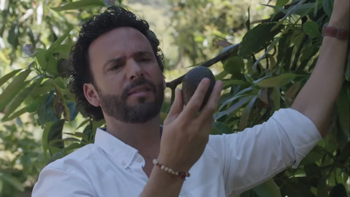 Chef Oropeza y Asociación de Productores de Aguacate se alían para destacar la importancia del consumo de aguacates