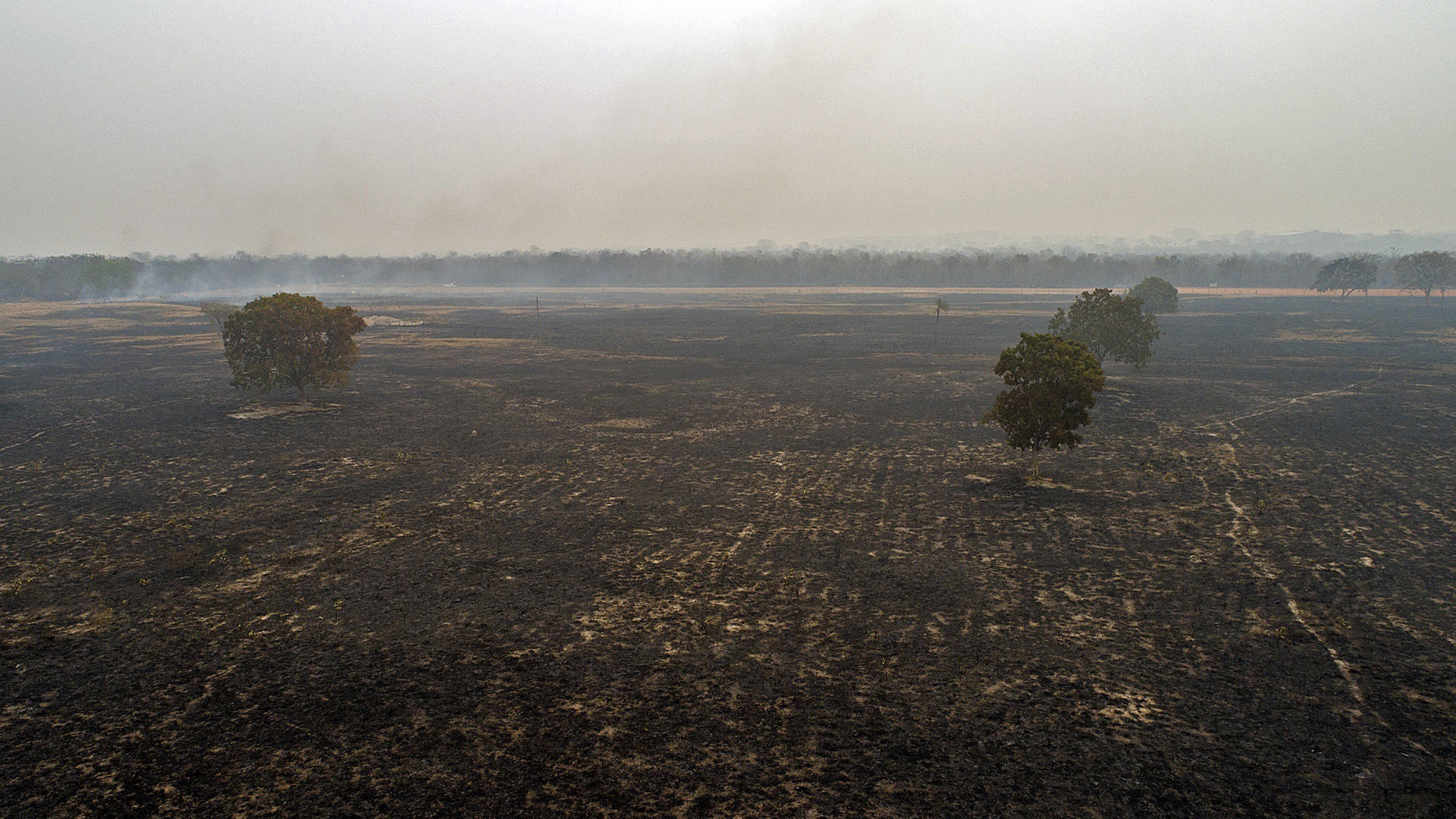 Aumenta 9.5 por ciento deforestación en Amazonía brasileña - danos-en-amazonia-brasilena-por-incendio